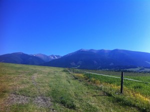 01054e698578e3c626d17707ba8f9dfe