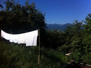 05d50f1470f25b31277d05a2e1df22c7