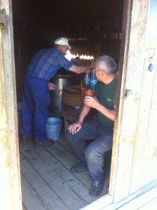 0732f17648effac5bd70a092b505866a