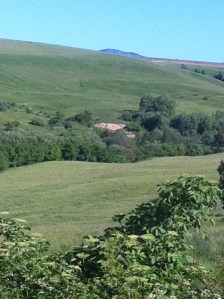 12e9c660e18511ed9caf7072812e83e1