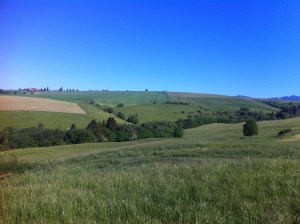 22cbbcd93c9cb82c8967777804e9ee0c