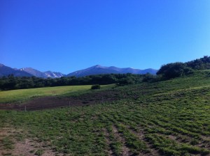 742ad8dd0522e2fdb6b02376622b491d