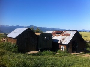 7b333095a245dfbec8de06d77768d80d