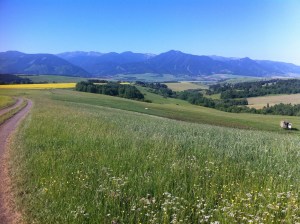 8073f1c0d2251f792d37b3bcf1d2c82f