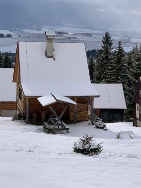 5e5d5e79-749c-46cd-b8d7-5160fe5059b5